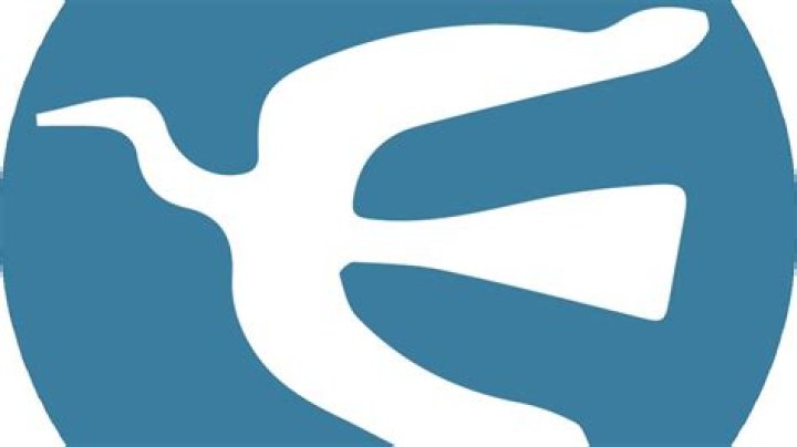 All About Whipitdev Lesks: A Comprehensive Guide