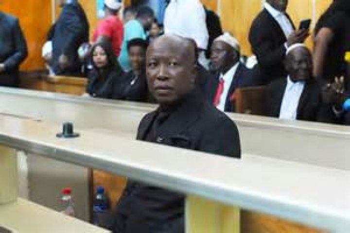 Comprehensive Guide: Unlocking The Number Of Julius Malema's Children