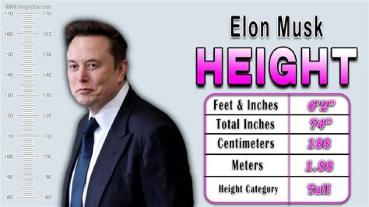 Discovering The Height Of Elon Musk: How Tall Is He Really?