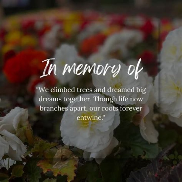In Memory Of John Visconti: Honoring His Legacy Through Remembrance