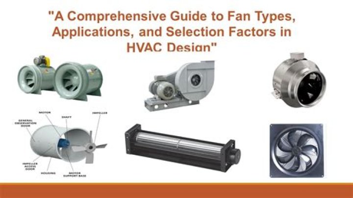 Kami Perkins: Essential Guide For Fans And Enthusiasts
