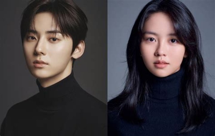 The Dynamic Duo: Exploring The Careers Of Kim Soo Hyun And Hwang In Yeop