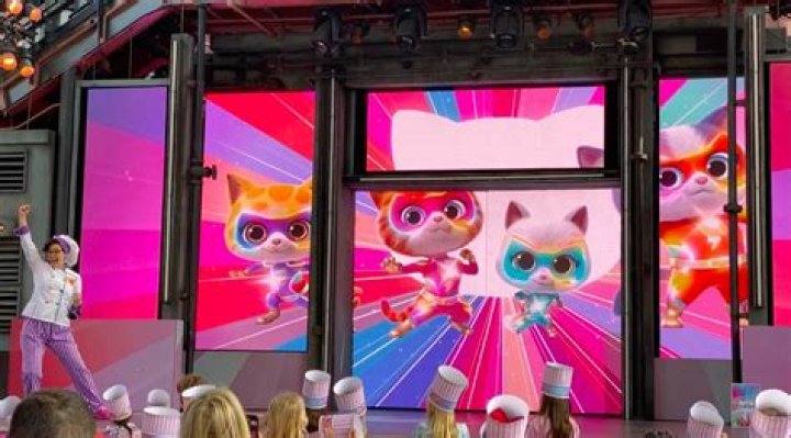 Unleashing The Purrfection: The World Of CatMovies HD
