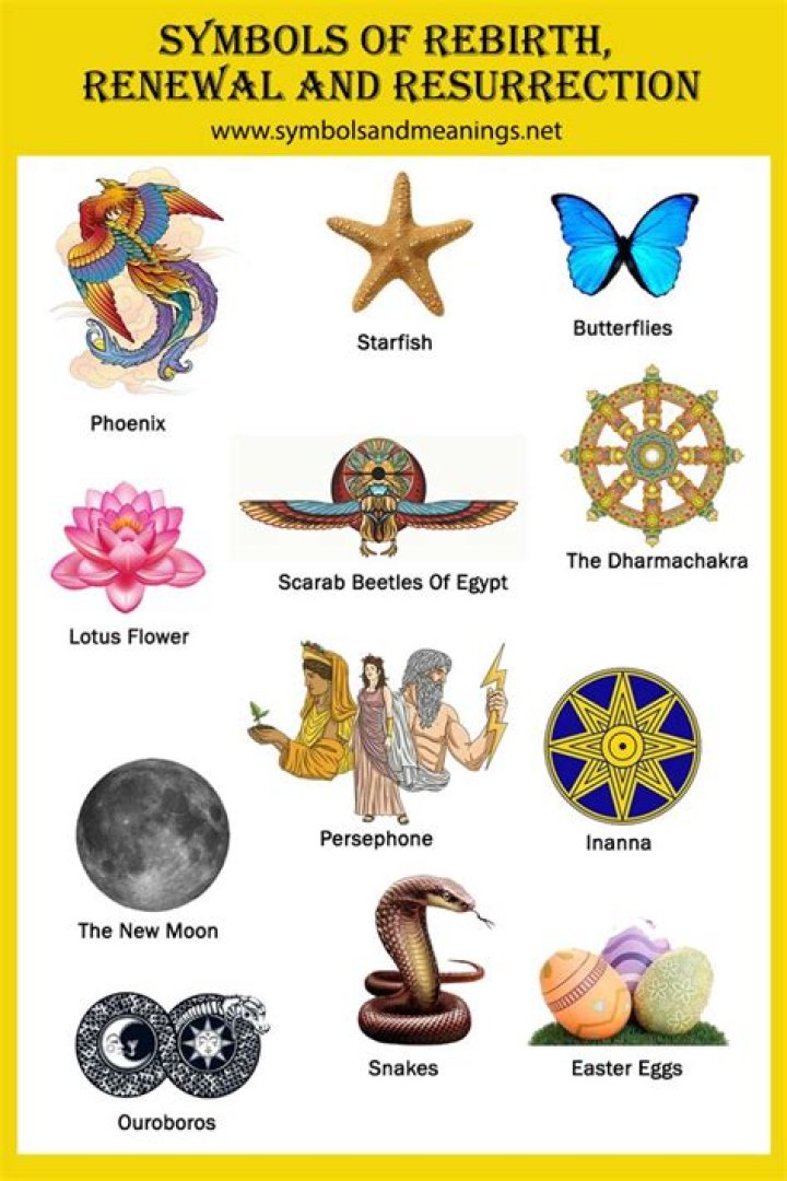 Your Fresh Start: Signs Of Renewal And Rebirth